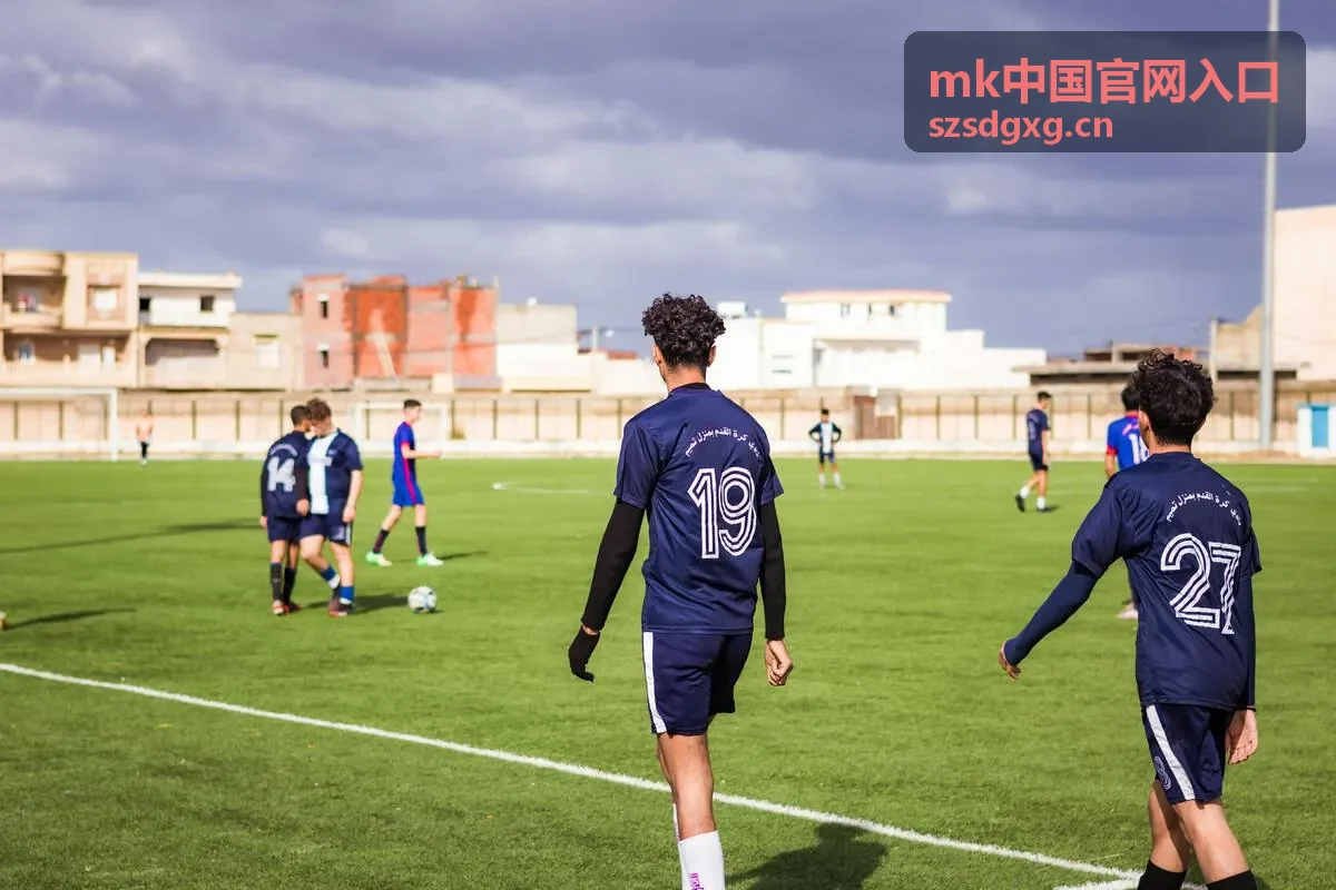 MK中国官网入口账号与使用建议服务