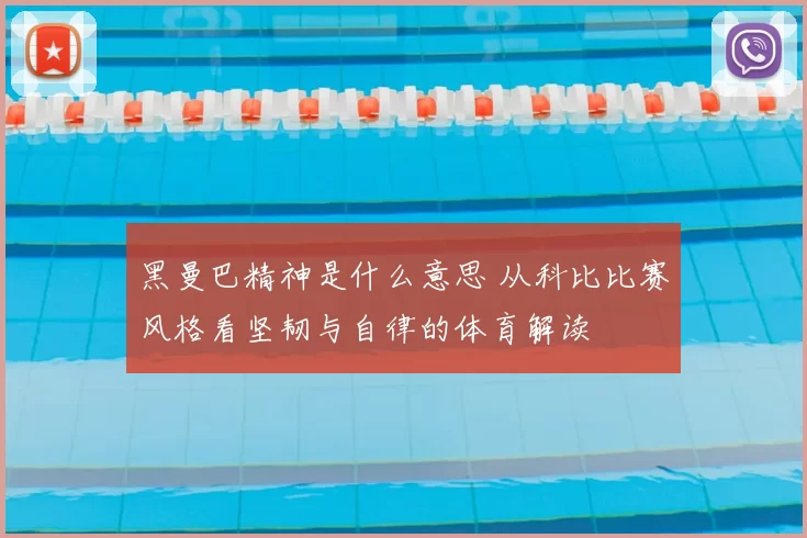 黑曼巴精神是什么意思 从科比比赛风格看坚韧与自律的体育解读