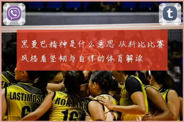 黑曼巴精神是什么意思 从科比比赛风格看坚韧与自律的体育解读