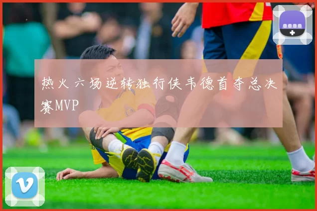 热火六场逆转独行侠韦德首夺总决赛MVP